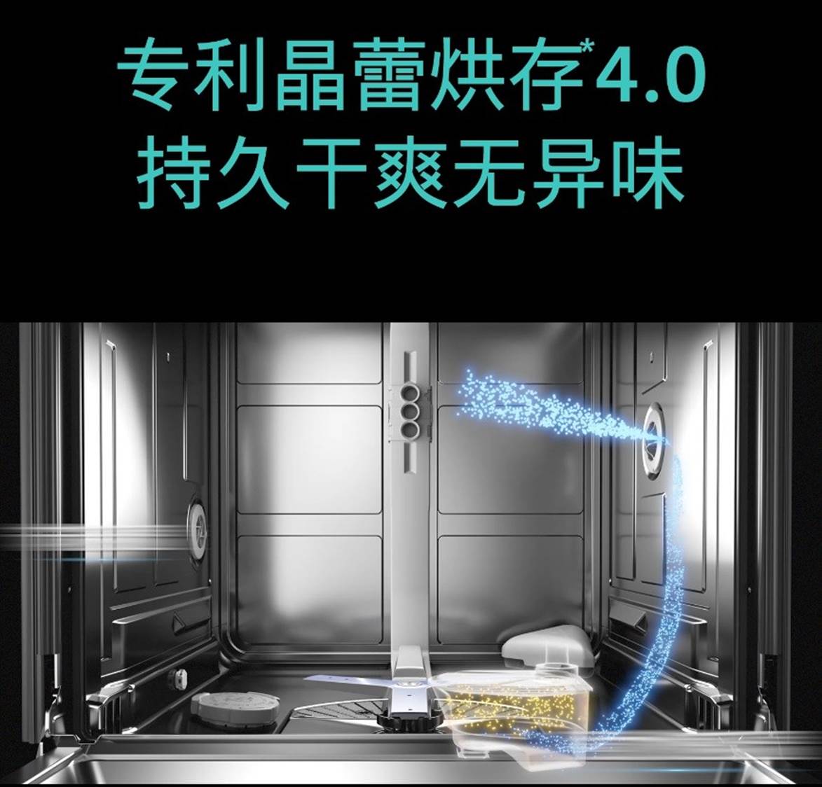 ຣ

жȿŶԶ