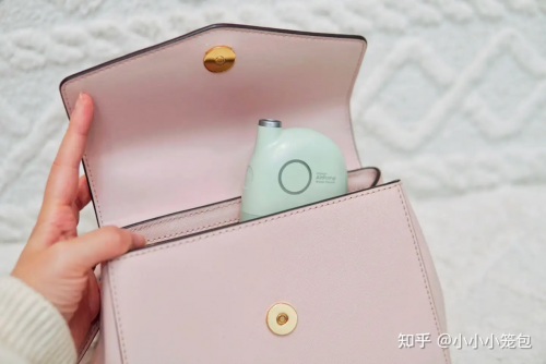 图片包含 游戏机, 袋子
描述已自动生成